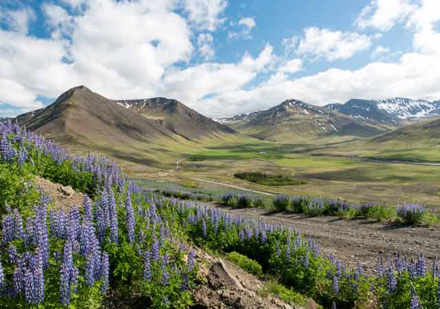 Wandern in den Westfjorden